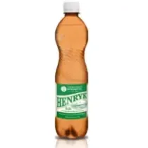 Lecznicza woda mineralna Henryk  0,5l UZDROWISKO WYSOWA 448