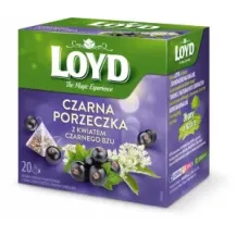 Herbata owocowa Loyd Czarna porzeczka z kwiatem czarnego bzu 20x2g 22950